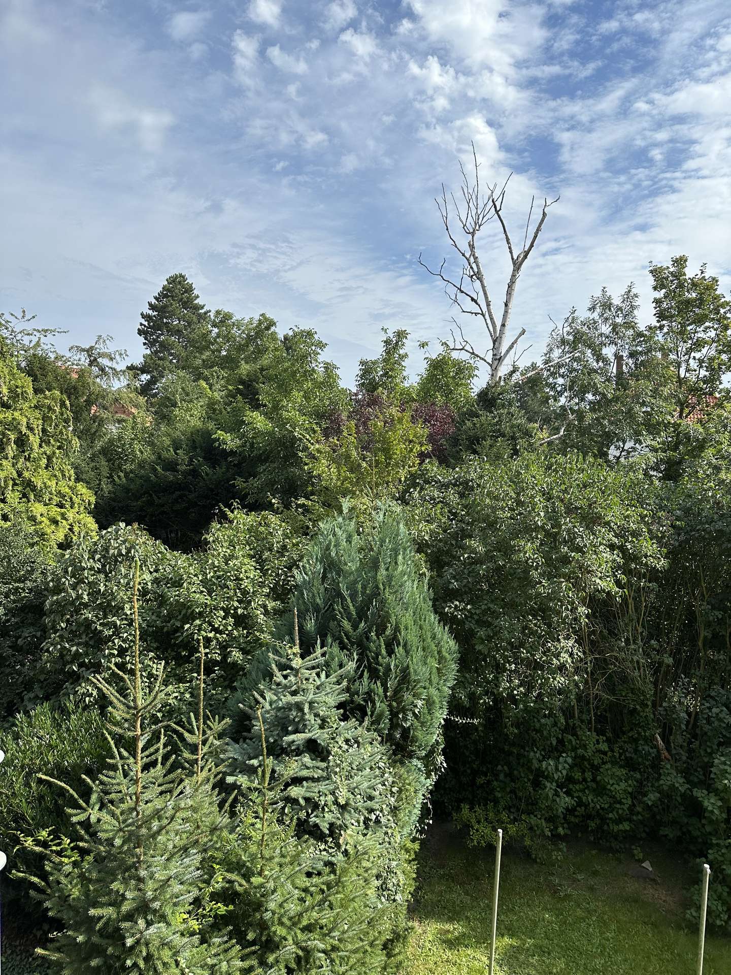 Ausblick