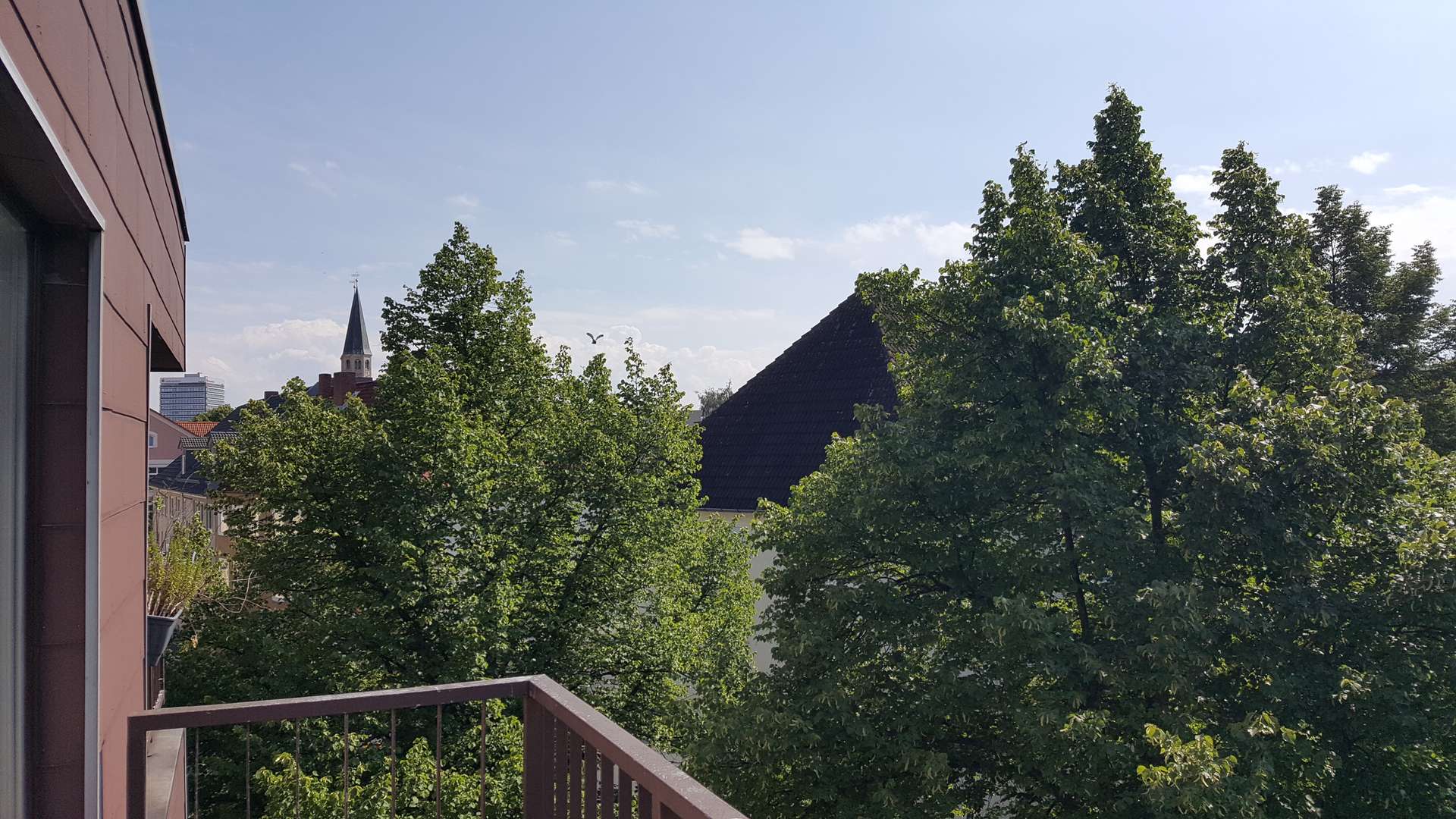 Ausblick