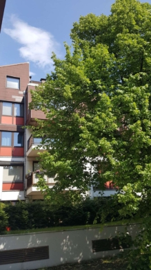 Innenstadtlage Braunschweigs: 1 Zi. ETW mit Balkon und Stellplatz am Bäckerklint, 38100 Braunschweig, Wohnung