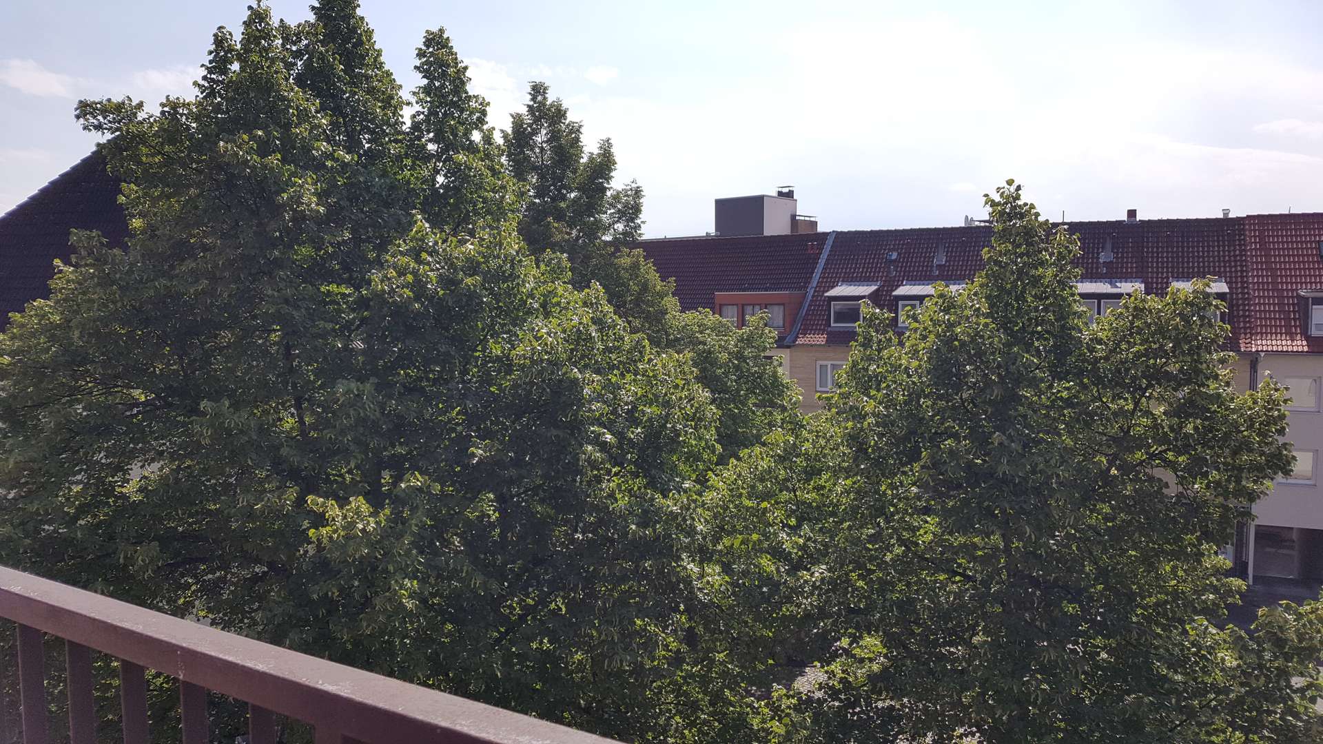 Ausblick
