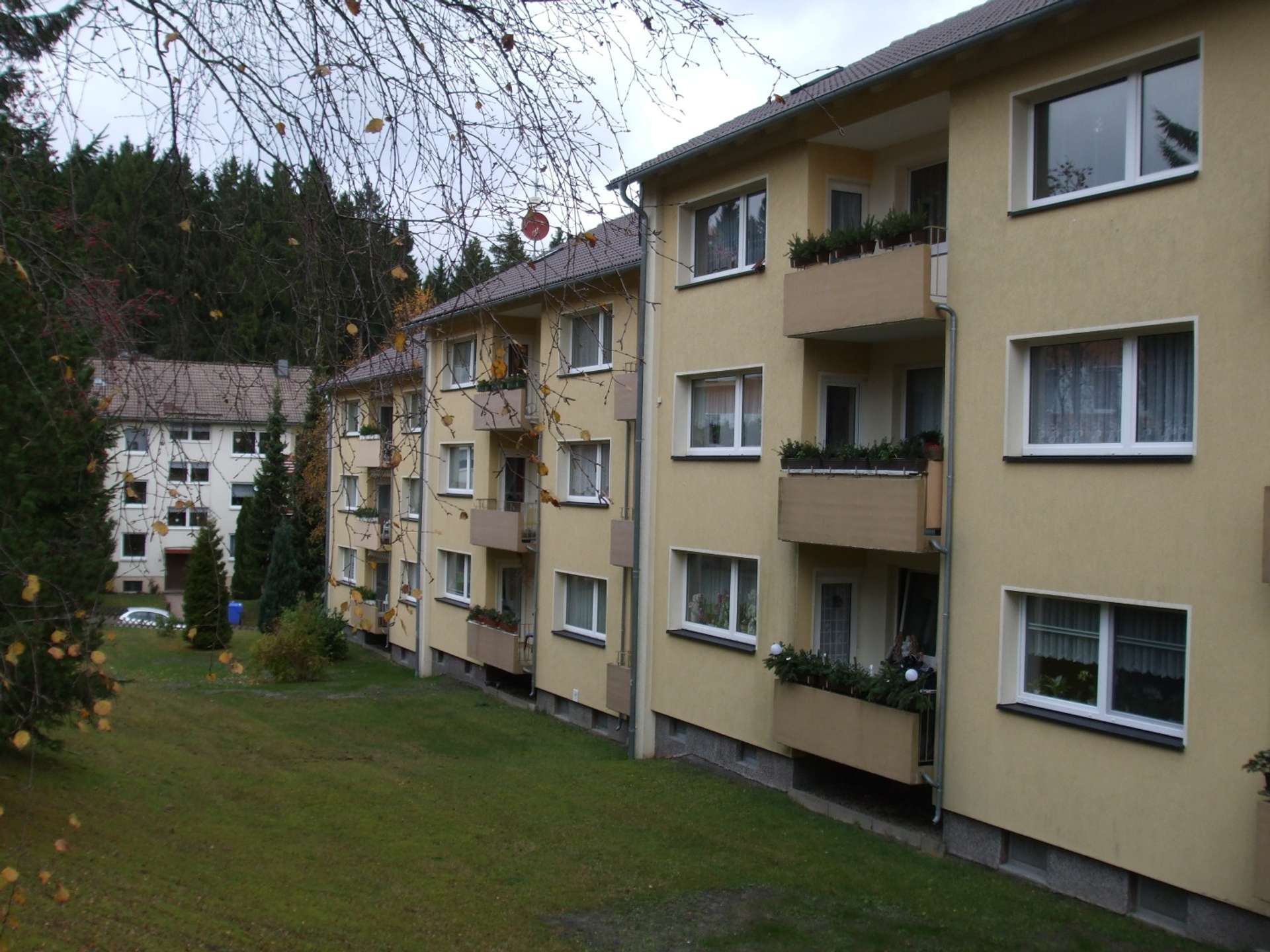 Rückansicht