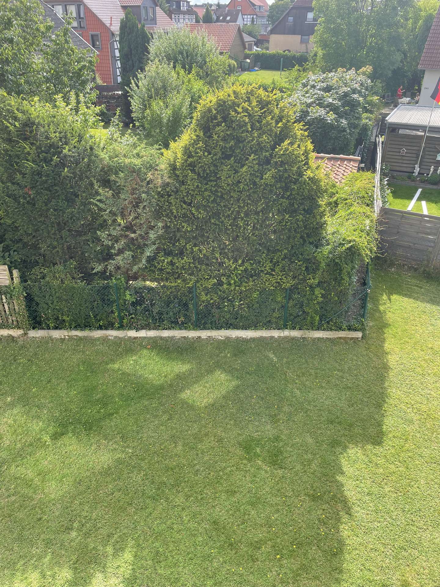 Ausblick