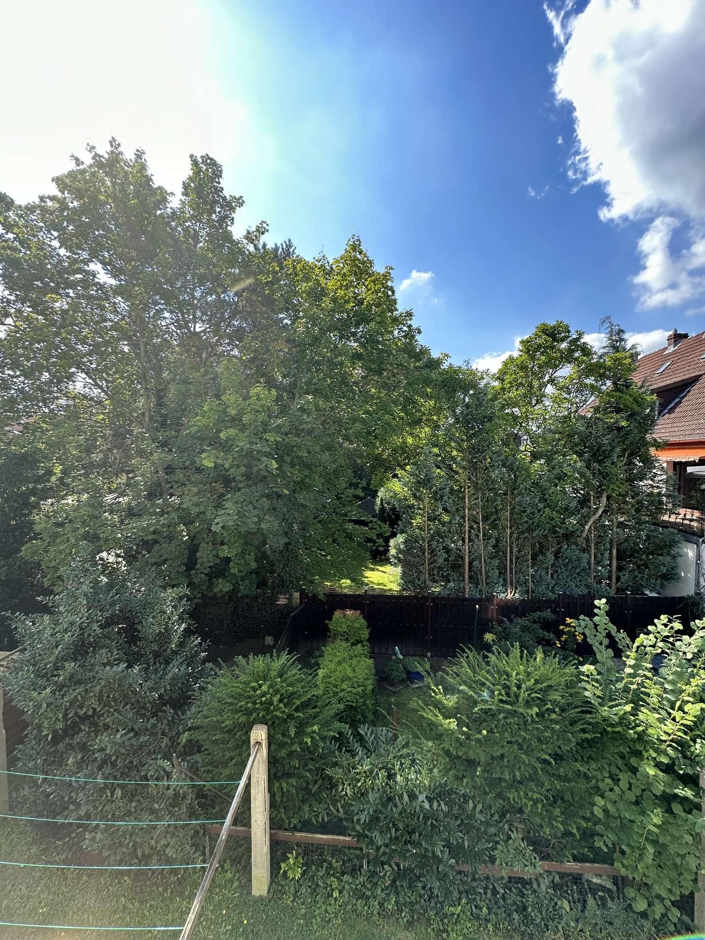 Ausblick