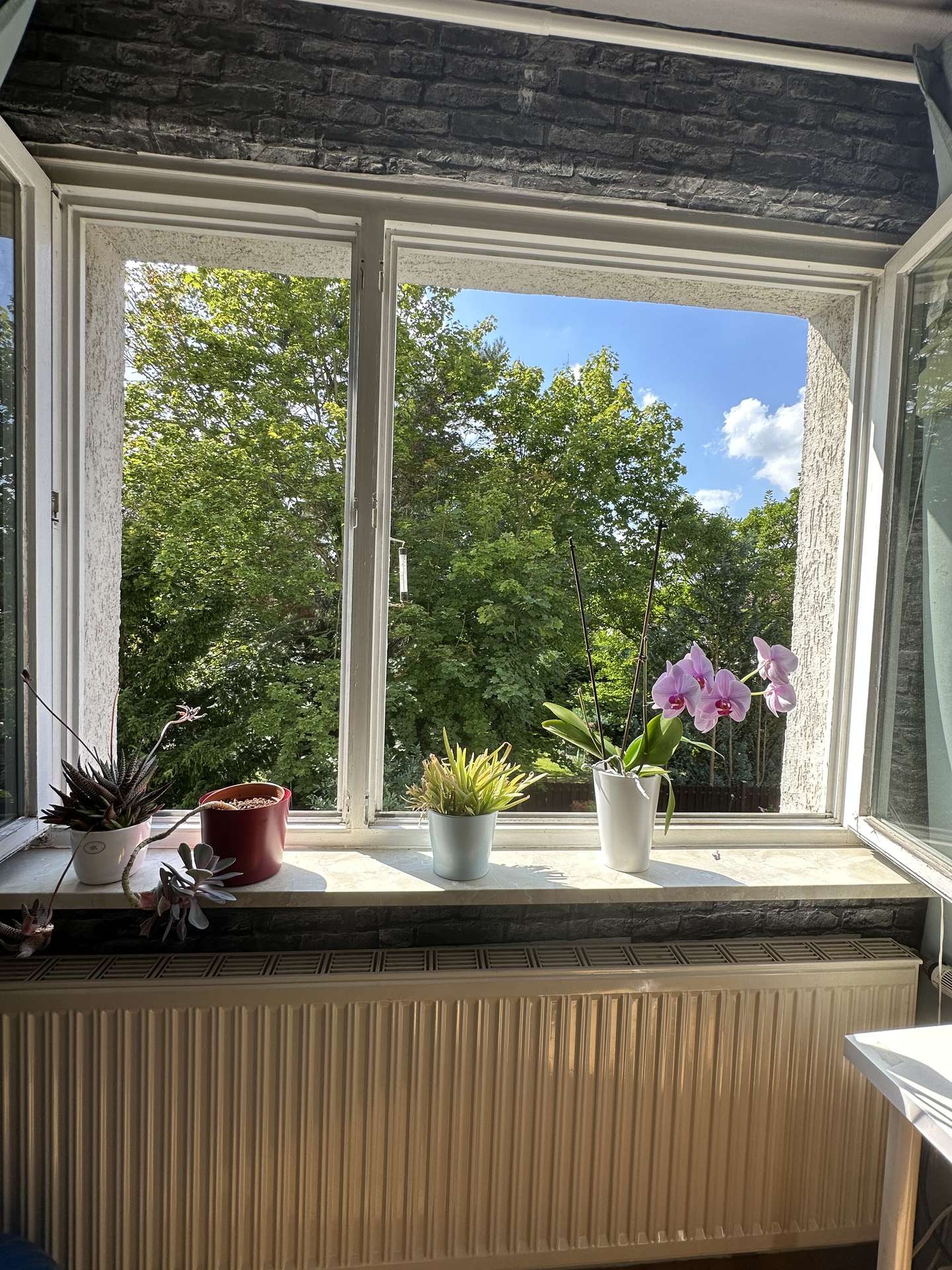 Ausblick