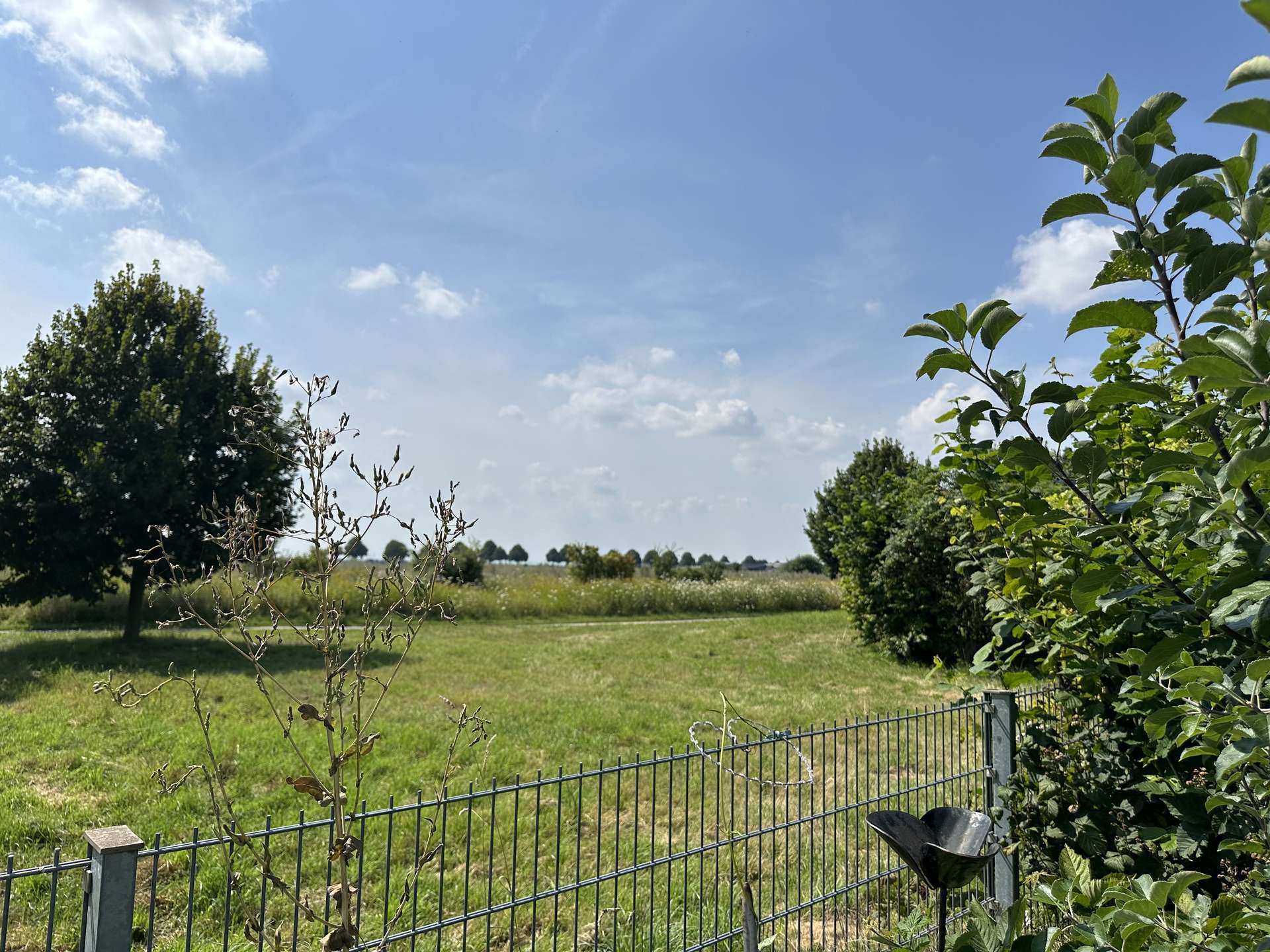 Ausblick