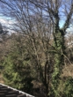Aussicht - Helle 2-Zimmer-Wohnung Nähe Innenstadt !