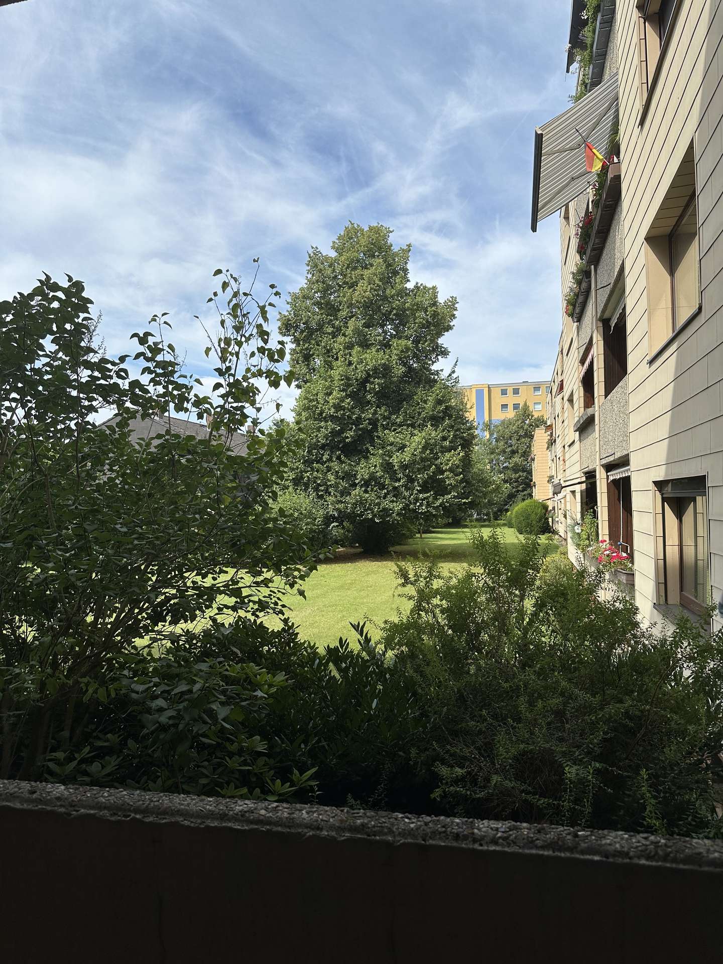 Ausblick