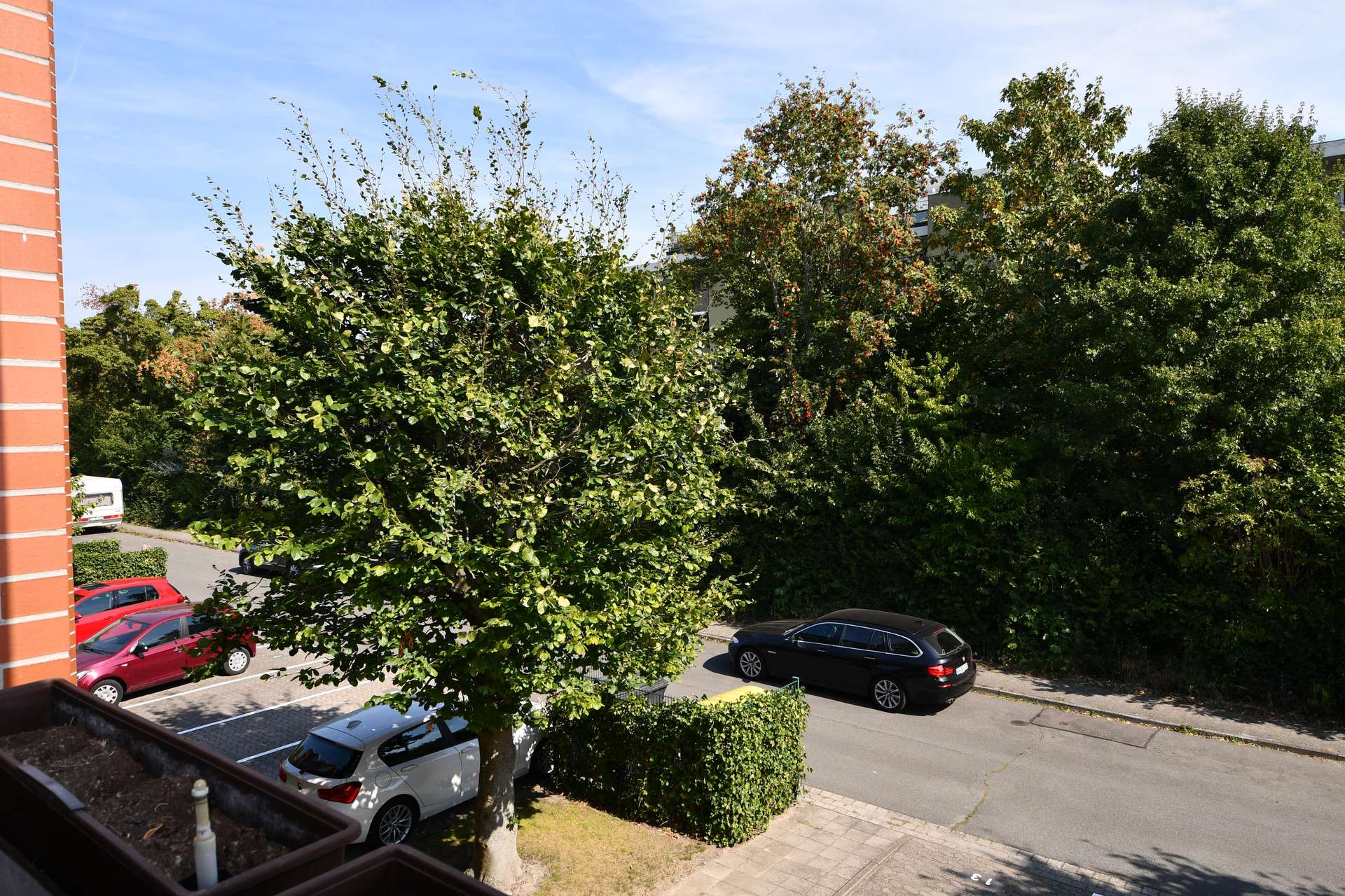 Blick_nach_vorn