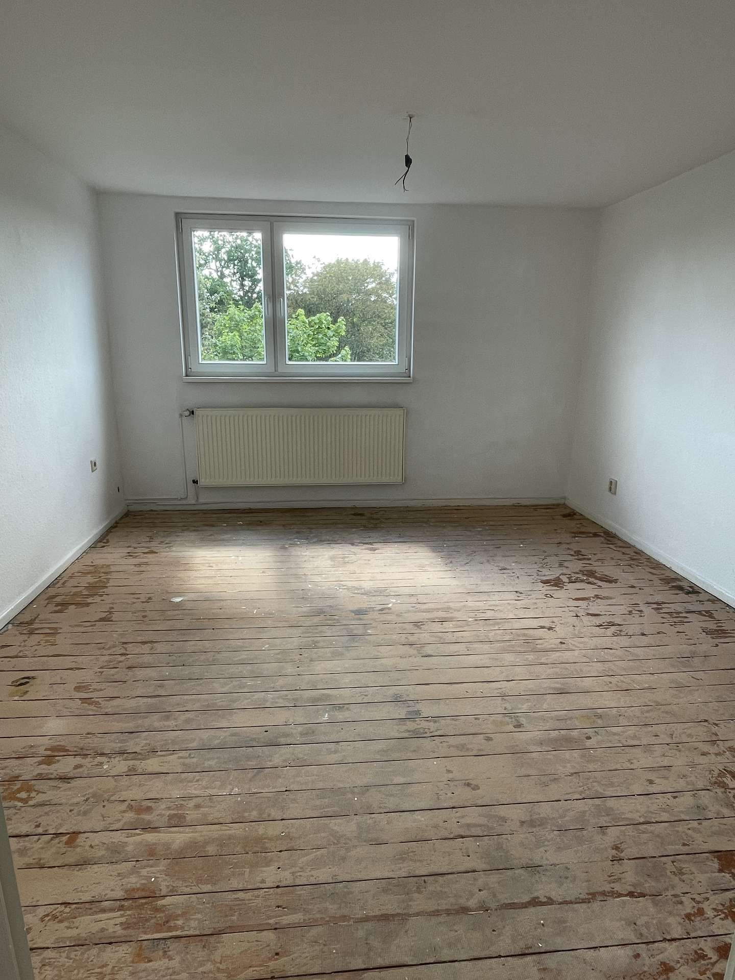 Zimmer 1